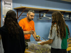 Schutz bieten: Zivilschutz aargauSüd führte Grossübung durch